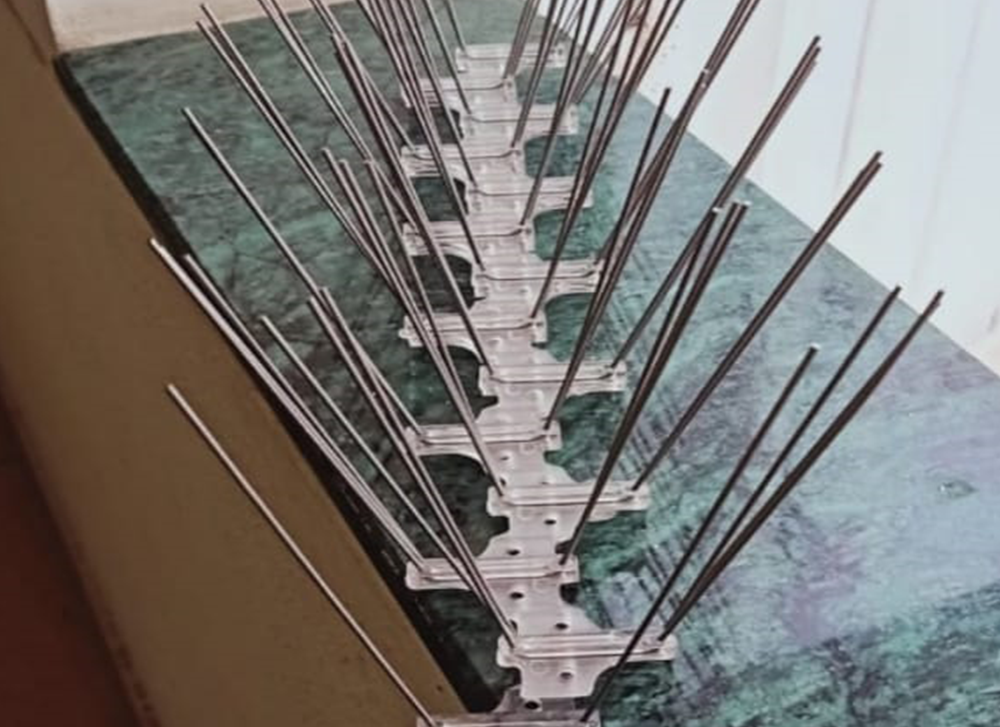 Bird net duct installation