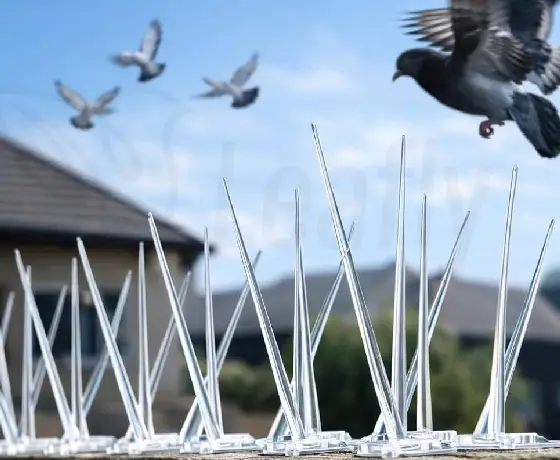 Bird spike installation on ledge in Mumbai
